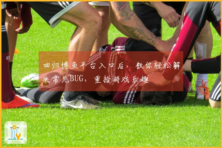 回归博鱼平台入口后，教你轻松解决常见BUG，重拾游戏乐趣