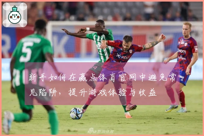 新手如何在赢点体育官网中避免常见陷阱，提升游戏体验与收益
