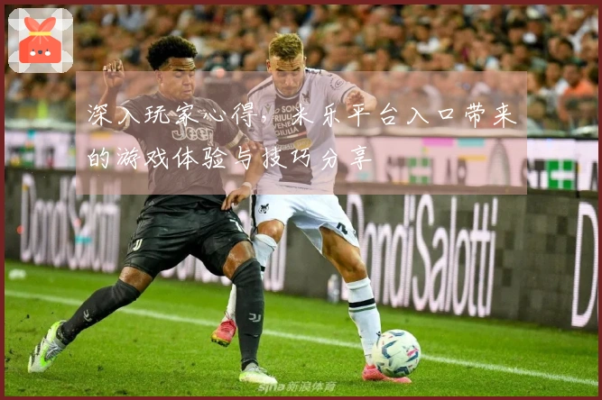 深入玩家心得，米乐平台入口带来的游戏体验与技巧分享