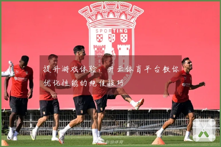 提升游戏体验，开云体育平台教你优化性能的绝佳技巧